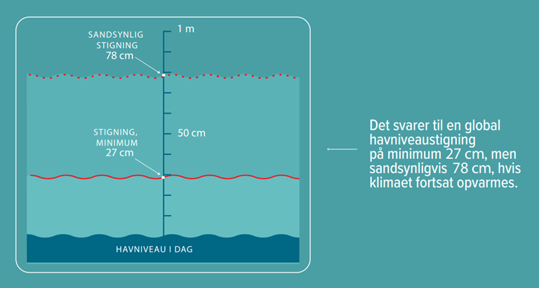 Figur der viser, hvad havniveaustigningerne svarer til