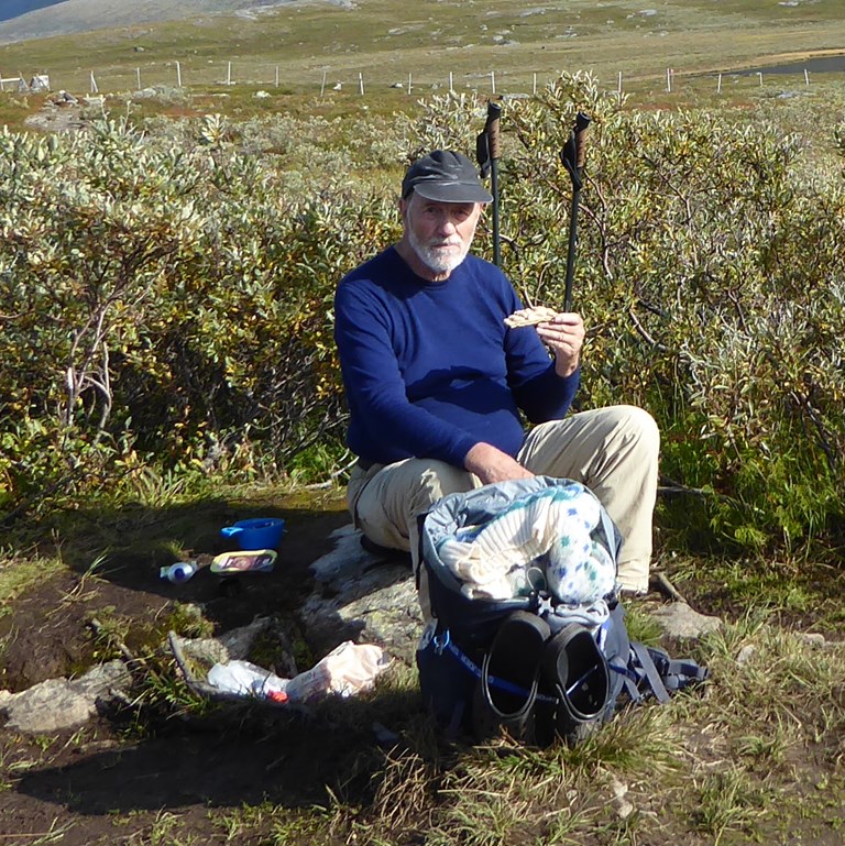 Adam Garde i Lapland. En person sidder på en sten i et grønt  landskab.