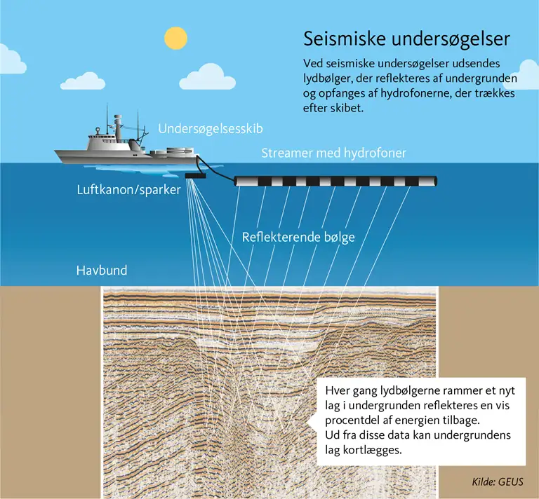 Infografik med forklaring af seismiske unders&oslash;gelser