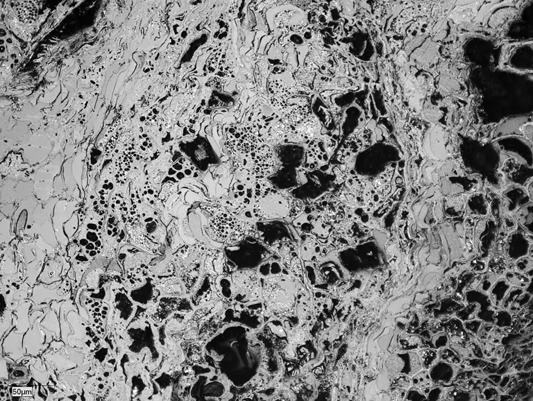 Trækul under mikroskop, hvor de mørke områder er de ekspanderede celler.