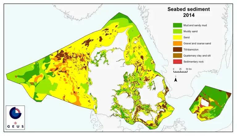 Havbundens overfladesedimenter i Danmark