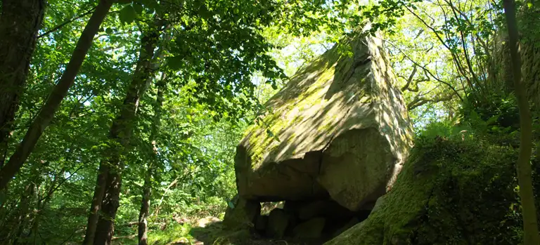 kæmpe sten i skoven