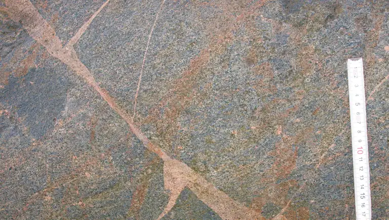 Foto fra stenens sydside, hvor diorit gennemskæres af centimeter-brede årer af aplit.