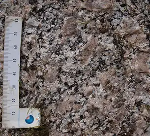 Lindumstenen består af grovkornet granit