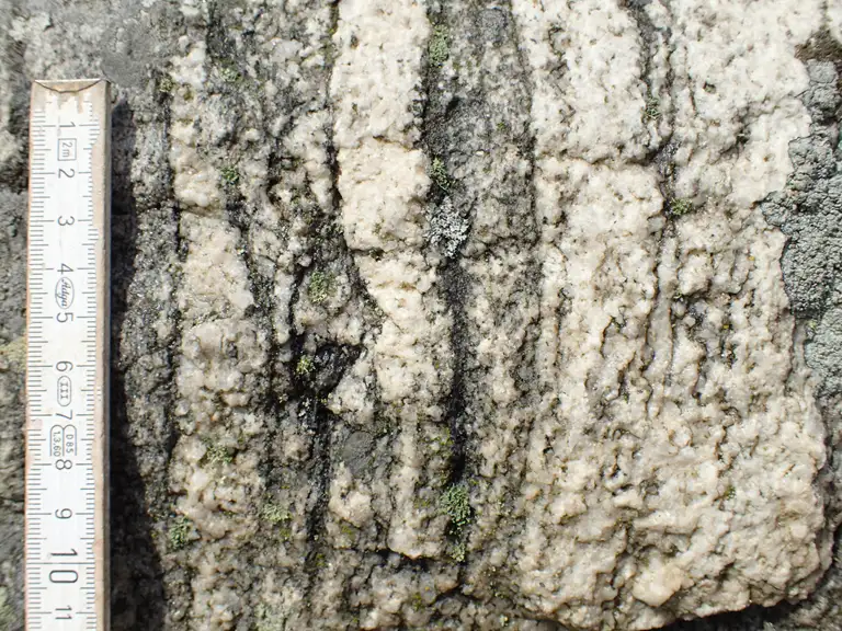 Topstenen på Læså Rønner er en migmatitisk gnejs. Gnejs fordi stenen viser udpræget foliation. Migmatitisk fordi bjergarten er en blandingsbjergart, idet de lyse årer er opstået under delvis opsmeltning af gnejsen.