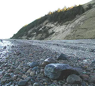 Stranden ved Gilbjerg Hoved