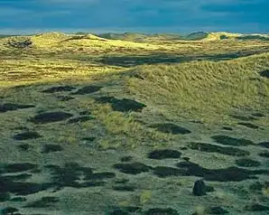 Ørkenen på Anholt