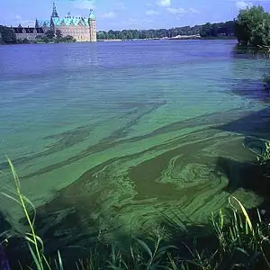 Nitrat kan sive ud i vandl&oslash;b, s&oslash;er og fjorde. Det kan medvirke til &oslash;get v&aelig;kst af alger som giver iltsvind og skader dyr og planter.