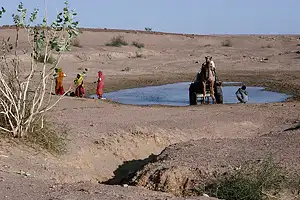 N&aring;r grundvandsmagasinerne t&oslash;mmes og den globale opvarmning tager til vil stadig flere omr&aring;der blive ramt af t&oslash;rke. Her er bunden ved at v&aelig;re n&aring;et ved en landsby i det sydlige Indien.