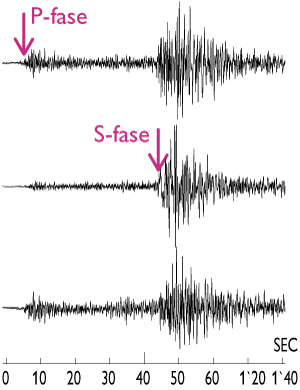 Seismogrammer som viser hvorledes et jordsk&aelig;lv ved Kaliningrad s&aring; ud p&aring; seismografen p&aring; Bornholm.