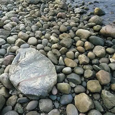 Sten på stranden ved Røsnæs
